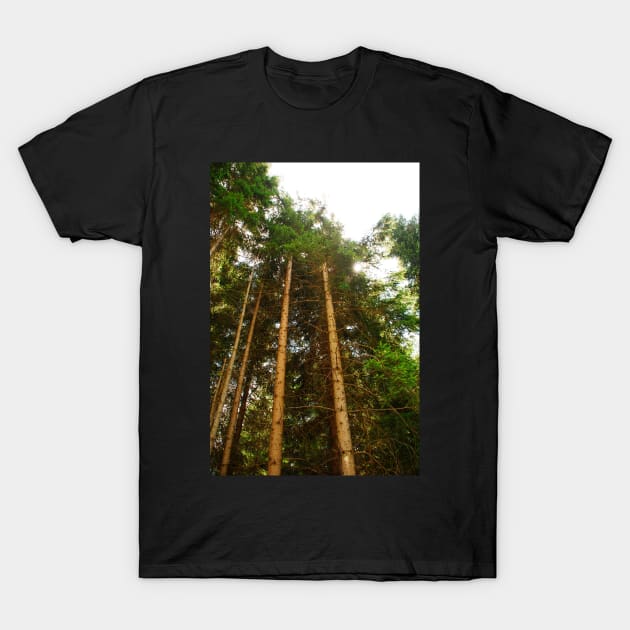 Pine Tree Trunks T-Shirt by jojobob